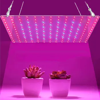 81/169 светодиодов 2000 Вт 3000 Вт Светодиодная лампа для выращивания растений в помещении, красная, синяя, полный спектр для гидропонной установки в помещении