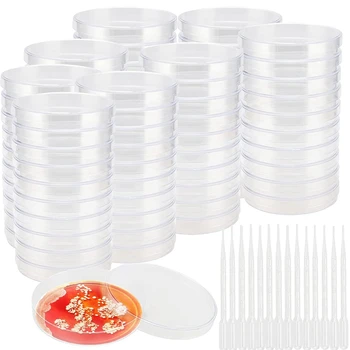 80 упаковок Пластиковых чашек Петри 90 мм с крышками, Прозрачные стерильные чашки Петри С 200 пластиковыми пипетками для переноса (3 мл)